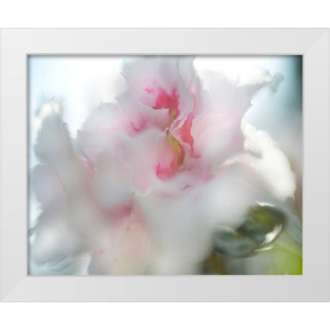 Hope in Pink II White Modern Wood Framed Art Print by Hunt, Gillian
