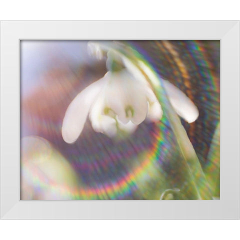 Glorious in Rainbow I White Modern Wood Framed Art Print by Hunt, Gillian
