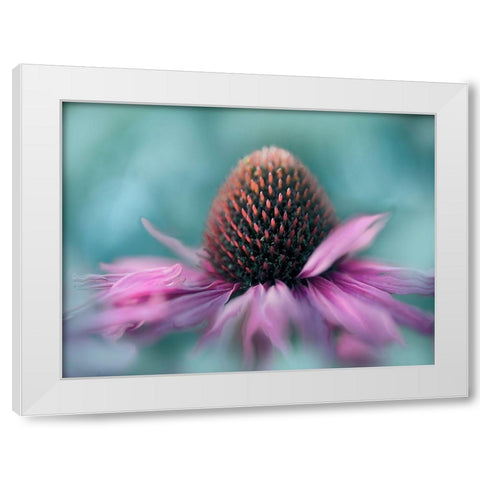 Sing to the Sun I White Modern Wood Framed Art Print by Hunt, Gillian