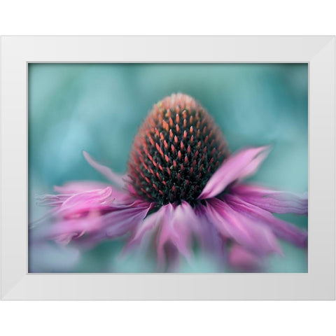 Sing to the Sun I White Modern Wood Framed Art Print by Hunt, Gillian