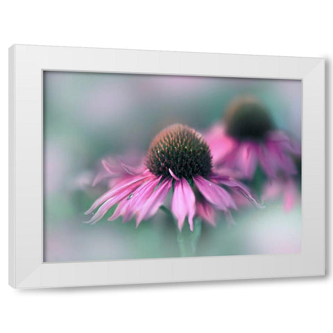 Sing to the Sun II White Modern Wood Framed Art Print by Hunt, Gillian