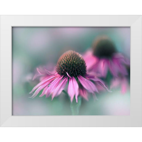 Sing to the Sun II White Modern Wood Framed Art Print by Hunt, Gillian