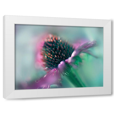 Sing to the Sun IV White Modern Wood Framed Art Print by Hunt, Gillian