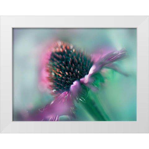 Sing to the Sun IV White Modern Wood Framed Art Print by Hunt, Gillian