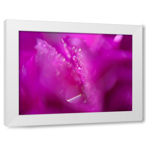 Hearts in Pink I White Modern Wood Framed Art Print by Hunt, Gillian