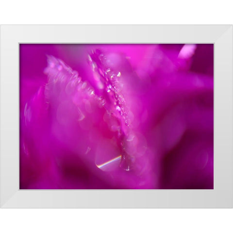 Hearts in Pink I White Modern Wood Framed Art Print by Hunt, Gillian