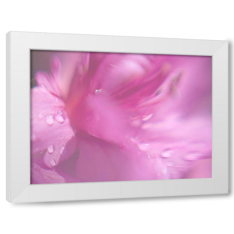 Hearts in Pink II White Modern Wood Framed Art Print by Hunt, Gillian