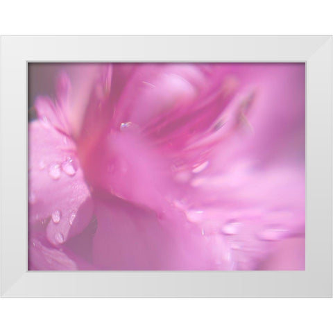 Hearts in Pink II White Modern Wood Framed Art Print by Hunt, Gillian