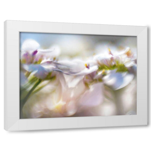 Mist of Lilac II White Modern Wood Framed Art Print by Hunt, Gillian