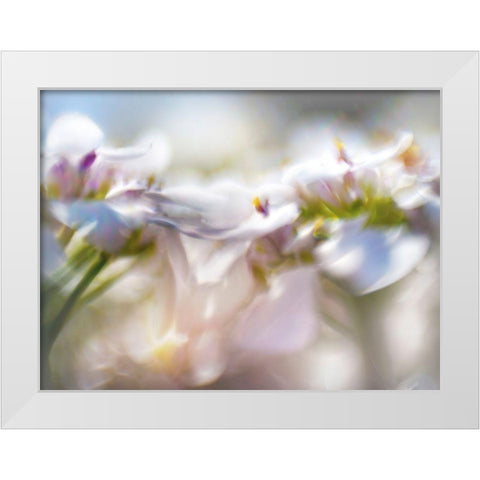 Mist of Lilac II White Modern Wood Framed Art Print by Hunt, Gillian