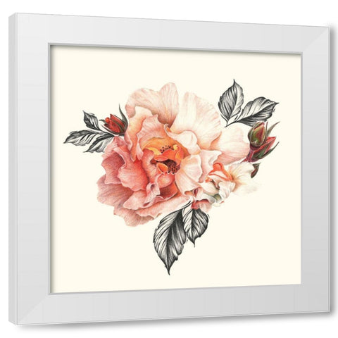 The Light of Day Rose I White Modern Wood Framed Art Print by Liama, Lily