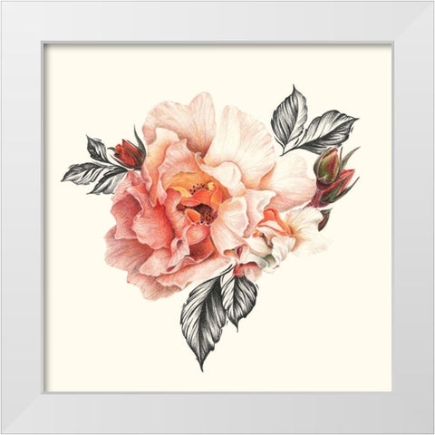 The Light of Day Rose I White Modern Wood Framed Art Print by Liama, Lily