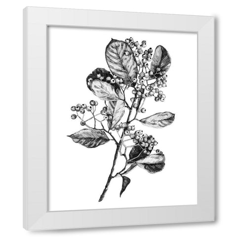 Hawthorn Berry Branch I White Modern Wood Framed Art Print by Scarvey, Emma