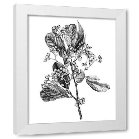 Hawthorn Berry Branch II White Modern Wood Framed Art Print by Scarvey, Emma