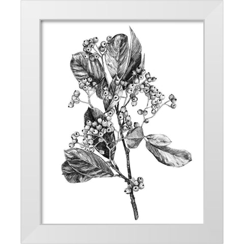 Hawthorn Berry Branch II White Modern Wood Framed Art Print by Scarvey, Emma