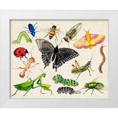Bugdom I White Modern Wood Framed Art Print by Ludwig, Alicia