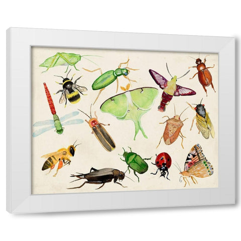 Bugdom II White Modern Wood Framed Art Print by Ludwig, Alicia
