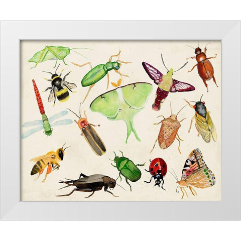 Bugdom II White Modern Wood Framed Art Print by Ludwig, Alicia