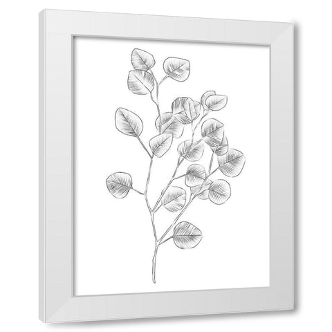 Eucalyptus Sketch III White Modern Wood Framed Art Print by Scarvey, Emma