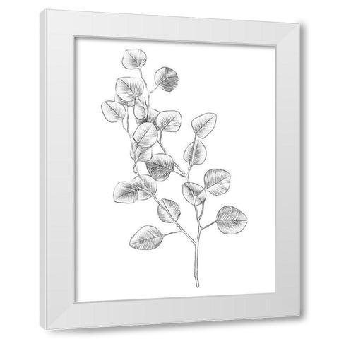 Eucalyptus Sketch IV White Modern Wood Framed Art Print by Scarvey, Emma