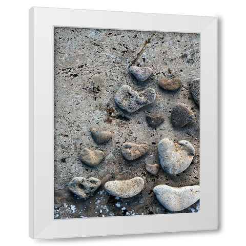 Gifts of the Shore VI White Modern Wood Framed Art Print by Ray, Elena