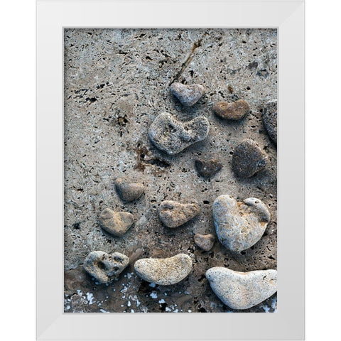 Gifts of the Shore VI White Modern Wood Framed Art Print by Ray, Elena