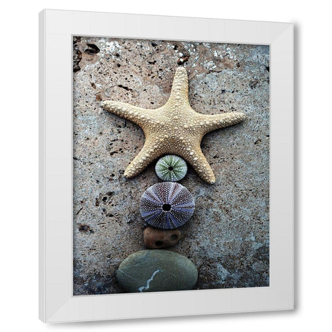 Gifts of the Shore VII White Modern Wood Framed Art Print by Ray, Elena