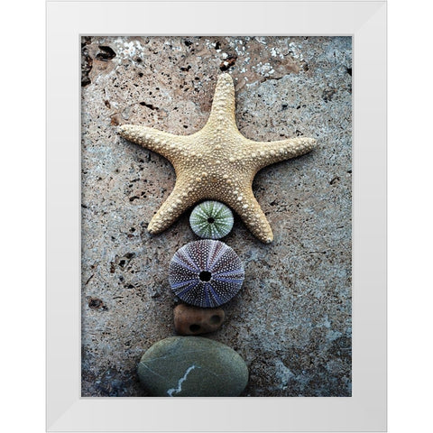 Gifts of the Shore VII White Modern Wood Framed Art Print by Ray, Elena