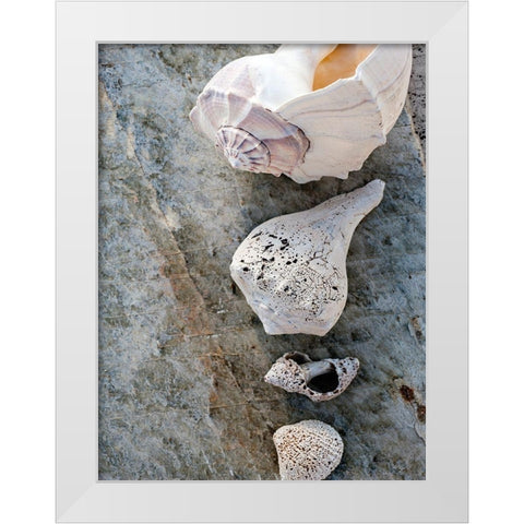 Gifts of the Shore IX White Modern Wood Framed Art Print by Ray, Elena