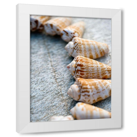 Gifts of the Shore X White Modern Wood Framed Art Print by Ray, Elena