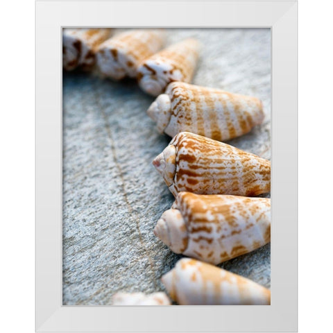 Gifts of the Shore X White Modern Wood Framed Art Print by Ray, Elena