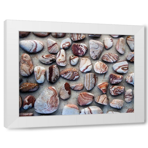 Gifts of the Earth I White Modern Wood Framed Art Print by Ray, Elena