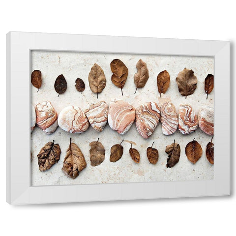 Gifts of the Earth III White Modern Wood Framed Art Print by Ray, Elena
