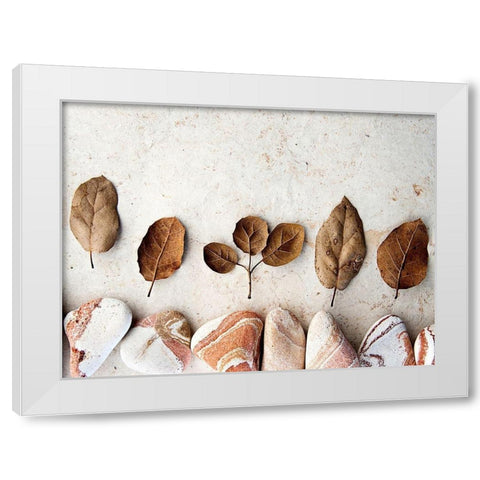 Gifts of the Earth IV White Modern Wood Framed Art Print by Ray, Elena