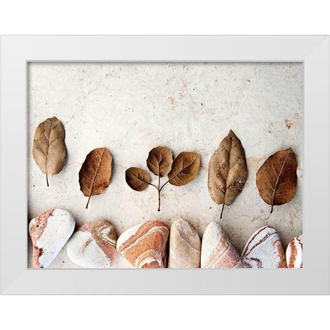 Gifts of the Earth IV White Modern Wood Framed Art Print by Ray, Elena