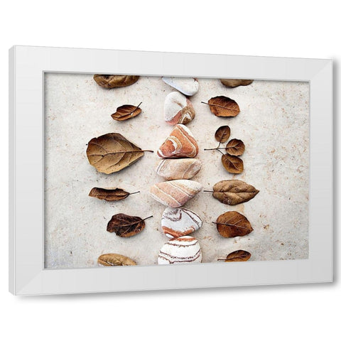 Gifts of the Earth V White Modern Wood Framed Art Print by Ray, Elena