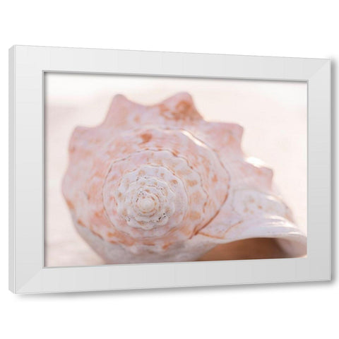 Shell Portrait I White Modern Wood Framed Art Print by Ray, Elena