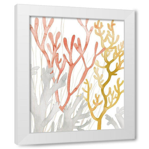 Desert Coral I White Modern Wood Framed Art Print by Popp, Grace
