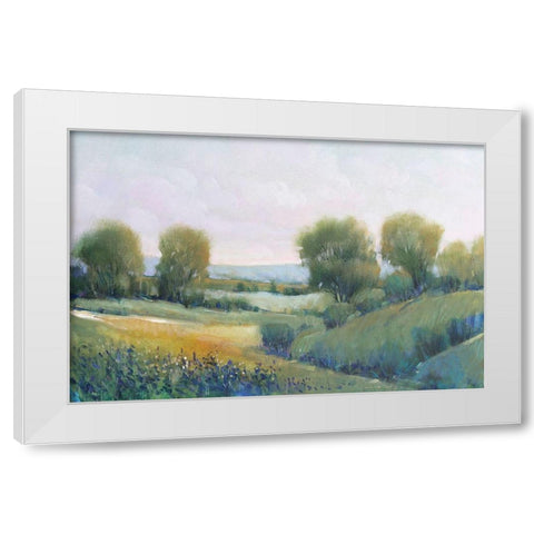 Paysage II White Modern Wood Framed Art Print by OToole, Tim