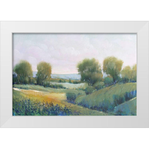 Paysage II White Modern Wood Framed Art Print by OToole, Tim