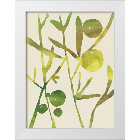 Spring Sprig III White Modern Wood Framed Art Print by Zarris, Chariklia