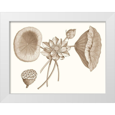 Sepia Water Lily I White Modern Wood Framed Art Print by Vision Studio