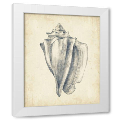 Custom Antique Shell Study IV (ASH) White Modern Wood Framed Art Print by Harper, Ethan