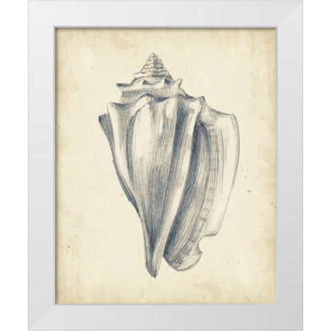Custom Antique Shell Study IV (ASH) White Modern Wood Framed Art Print by Harper, Ethan