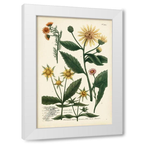 Saffron Garden I White Modern Wood Framed Art Print by Weinmann