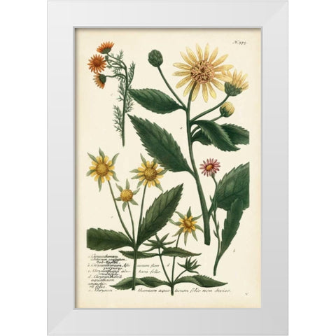 Saffron Garden I White Modern Wood Framed Art Print by Weinmann