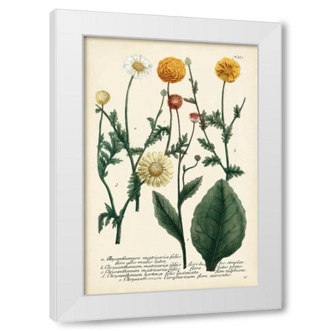 Saffron Garden II White Modern Wood Framed Art Print by Weinmann