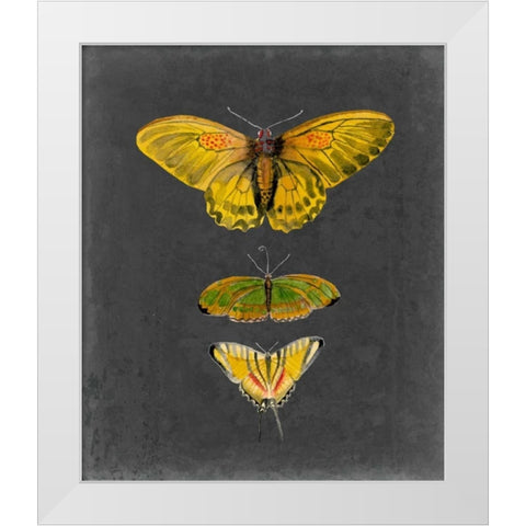 Butterflies on Slate I White Modern Wood Framed Art Print by McCavitt, Naomi