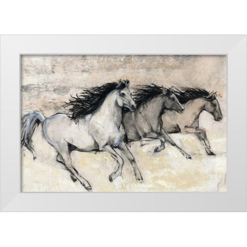 Horses in Motion II White Modern Wood Framed Art Print by OToole, Tim