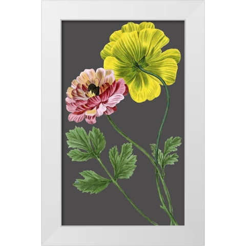 30x18 Midnight Garden Varieties I (ASH) White Modern Wood Framed Art Print by Vision Studio